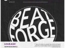 QubiqueSmall – Leakage
