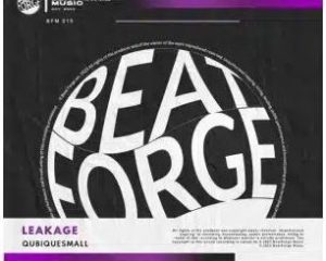 QubiqueSmall – Leakage