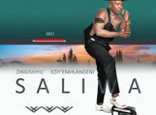 Saliwa - INGCEKEZA KANOMGONQO