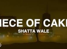 Shatta Wale – Piece Of Cake