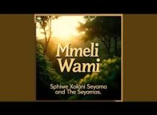 Sphiwe Xolani Seyama – Mmeli Wami