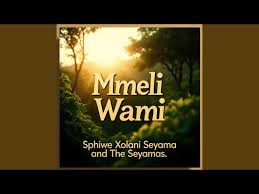 Sphiwe Xolani Seyama – Mmeli Wami