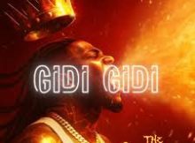 Stonebwoy - Gidi Gidi (Fire)