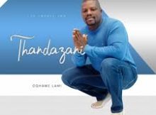 Thandazani - Amabhinca