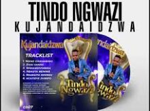 Tindo Ngwazi - Ndinechikumbiro