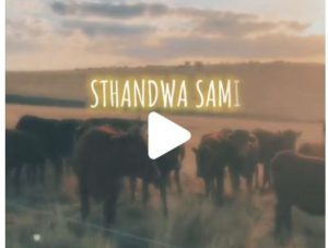 Umlayezo Ft. Mjolisi – Sthandwa Sami
