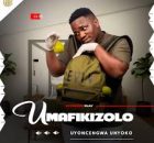 Uzoncengwa - unyoko