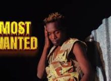 Y Celeb - MOST WANTED