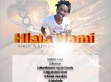 Yanda N - Hlala nami