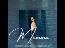 Zee Nxumalo, Skillz & Sykes - Mamma (Dj Sbandi Bootleg)