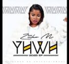 Ziiko M feat. Hlokwa Wa Afrika - Ngonyama