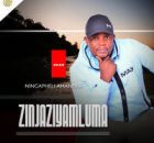 Zinjaziyamluma - Lehlula izitha (feat. Thandeka Radebe)