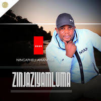 Zinjaziyamluma - Lehlula izitha (feat. Thandeka Radebe)