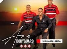 Ama-Bodyguard – Awufake amabili