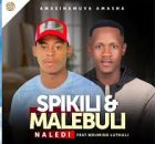 Amasinamuva Amasha ft. Ndumiso Luthuli – Naledi