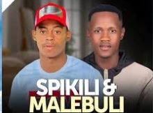 Amasinamuva Amasha ft. Ndumiso Luthuli – Naledi