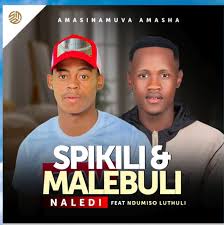Amasinamuva Amasha ft. Ndumiso Luthuli – Naledi