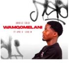 Andile Solo – Wamqomelani (feat. Apee & Leko M)