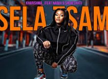 BRIAN_ZAR - TSELA TSAMII Kharishma (Feat Naqua & Shebeshxt)