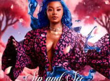 Babes Wodumo, Madanon & Jay Music ft Don Edward, Frost, Sk & Sundile – Sip and See
