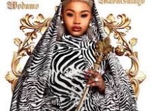 Babes Wodumo – Mabheshingo (Album)