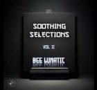 Bee Lunatic – Soothing Selections Vol. 002 (100% Production Mix)