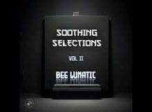 Bee Lunatic – Soothing Selections Vol. 002 (100% Production Mix)