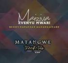 Benny Hadassah Muzanamombe – Matangwe