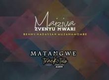Benny Hadassah Muzanamombe – Matangwe