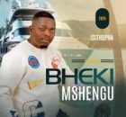 Bheki Mshengu – DLALA