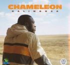 Daliwonga - Phatha Phatha Song