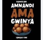 Dankieboi – Amnandi amagwinya Ft TNS, BlacksJnr & Blaqkiidd