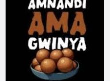 Dankieboi – Amnandi amagwinya Ft TNS, BlacksJnr & Blaqkiidd