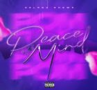 Delroy Shewe - Peace of Mind
