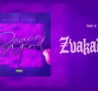 Delroy Shewe - Zvakadaro