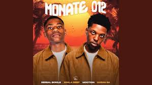 Dereal Bonile – Monate 012