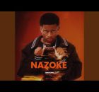 Dimtonic SA - Nazoke