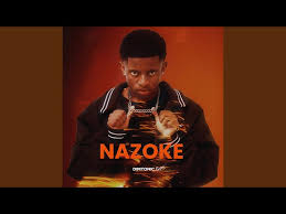 Dimtonic SA - Nazoke