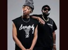 Dj Maphorisa, Xduppy, Seun1401 & Ftears - Stem