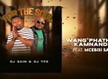 Dj Sain & Dj TPZ - Wang'phatha kamnandi (feat. Mcebisi SA)