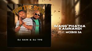 Dj Sain & Dj TPZ - Wang'phatha kamnandi (feat. Mcebisi SA)
