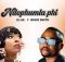 Dj Sk Ft Busie Smith – Ndophumla Phi