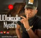 Dlokodla Nyathi – Indaba Zabantu
