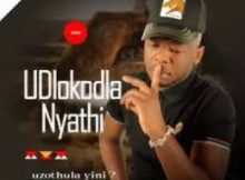 Dlokodla Nyathi – Indaba Zabantu