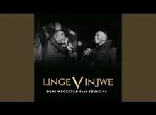 Dumi Mkokstad ft SbuNoah - Lingevinjwe