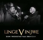 Dumi Mkokstad – Lingevinjwe ft. SbuNoah