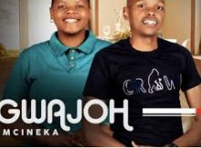 GWAJOW MCINEKA - BAZALI BAMI