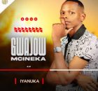 GWAJOW MCINEKA - USELE WEDWA