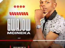 GWAJOW MCINEKA - USELE WEDWA