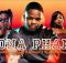 Harrycane x Eemoh - Shona Phansi ft Blaq Major x Nkosazana Daughter